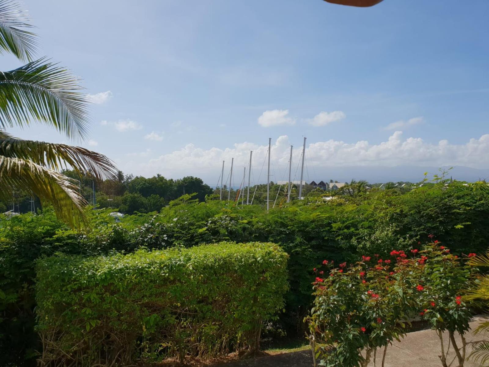 Ravissant Studio Marina Gosier Le Gosier  Ngoại thất bức ảnh